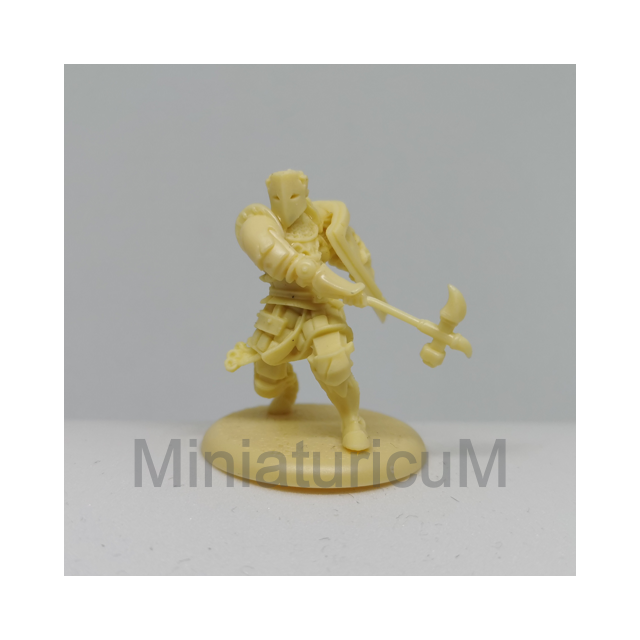 Baratheon Warden - Figur 1