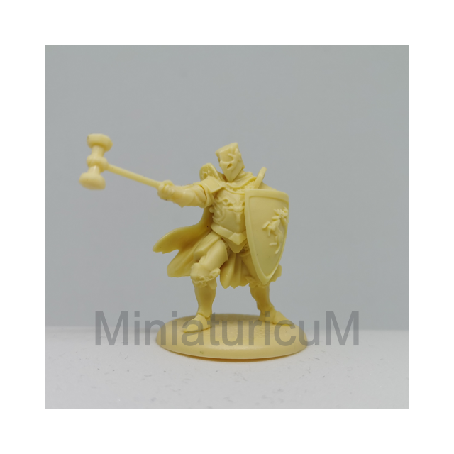 Baratheon Warden - Figur 6