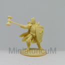 Baratheon Warden - Figur 6