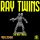The Ray Twins
