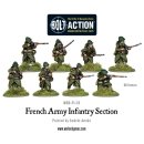 French Army Infantry section