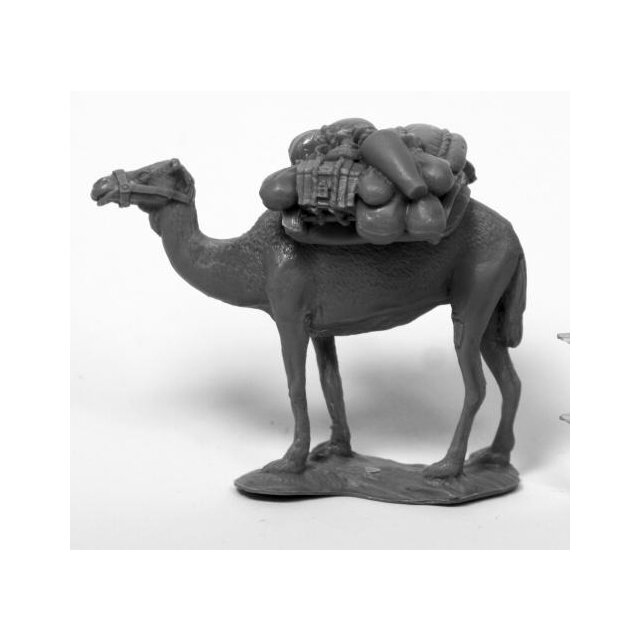 Camel w/ Pack