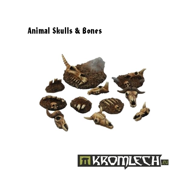 Animal Skulls & Bones