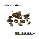 Animal Skulls &amp; Bones