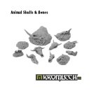 Animal Skulls &amp; Bones