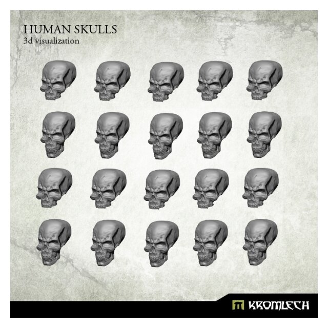 Human Skulls