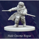 Fantasy Series 1: Male Gnome Rogue