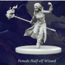 Fantasy Series 1: Female Half-Elf Wizard