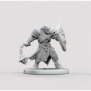 Fantasy Series 1: Male Half-Orc Paladin