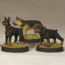 Minion Dog Handler & Attack Dogs (4)
