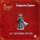 Companion Captain