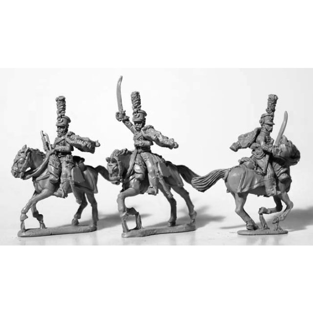 Hussar command, full dress, galloping
