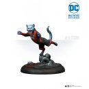 DC Miniature Game: Red Lanterns Corps