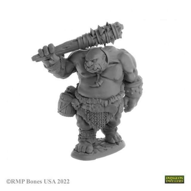 Ogre Guard Ogre Fighter