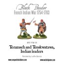 Tecumseh and Tenskwatawa, Indian leaders