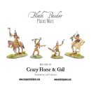 Crazy Horse & Gall