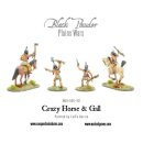 Crazy Horse & Gall