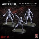 The Witcher - Necrophages 1: Drowners