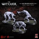 The Witcher - Necrophages 2: Ghouls