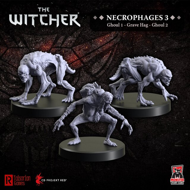 The Witcher - Necrophages 3: Grave Hag