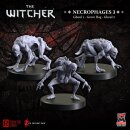 The Witcher - Necrophages 3: Grave Hag