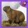 Charles the Giant Capybara