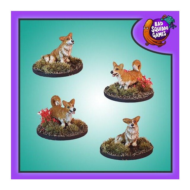 Corgis (4)