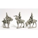 Mounted Light Infantry colonels