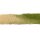 Statisches Gras - Flock- MEdium Green (12 mm)