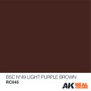 Bsc No49 Light Purple Brown 10ml