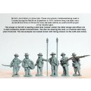 Line Infantry command standing, campaign dress, straw...