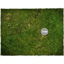 Game mat - Roots of Magic fields - 2 x 2  Mousepad