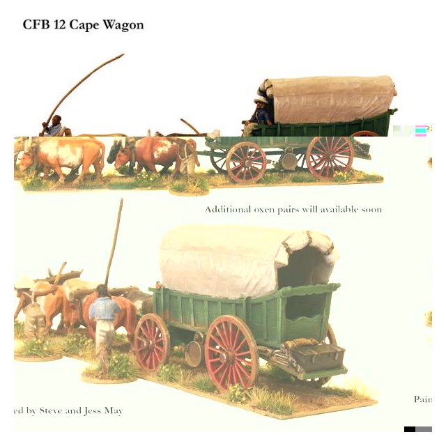 Cape wagon