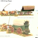 Cape wagon