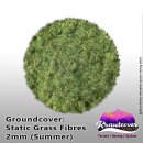 Krautcover: Static Grass Summer 2mm (140ml)