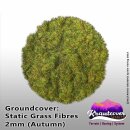 Krautcover: Static Grass Autumn 2mm (140ml)