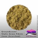 Krautcover: Static Grass Scorched 2mm (140ml)