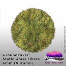 Krautcover: Static Grass Autumn 6mm (140ml)