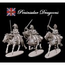 British Heavy Dragoons Peninsular War