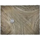 Game mat - Ash Wasteland 22" x 30" Mousepad