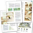 Bundle: So baust Du Tabletop-Gelände: Spielplatten und Werkzeuge & Materialen