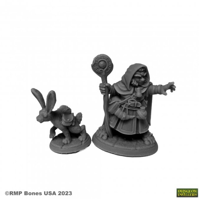 Hollis Grayheath and Verbena Halfling Druid and Hare Animal Comp