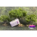 Krautcover: Kraut for Trees (400 ml)