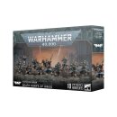 Astra Militarum: Todeskorps Von Krieg