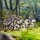 Victrix VXM005 Teutonic Knights (Ordensstaat)