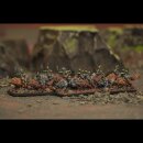 Classic Fantasy Battles: Orc Horde (10 mm)