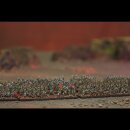 Classic Fantasy Battles: Orc Horde (10 mm)