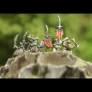 Classic Fantasy Battles: Orc Horde (10 mm)