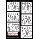 Victrix Pillage: Norman Warband