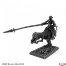 Dark Elf Hero on Lizard
